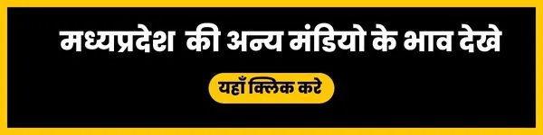 mp-all-mandi-bhav