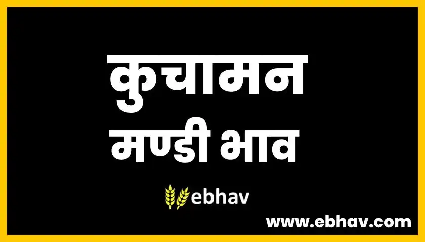 kuchaman-mandi-bhav