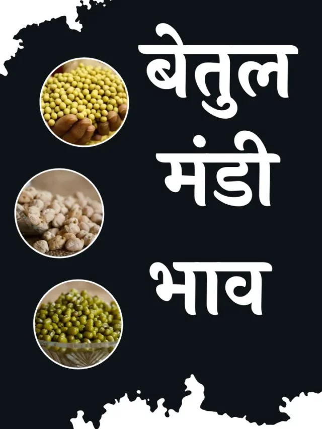 cropped-aaj-ka-betul-mandi-bhav.webp