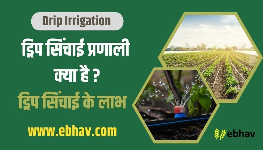 drip-irrigation-system-in-hindi