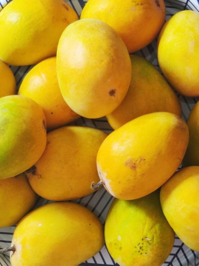 cropped-mangos-4.jpg