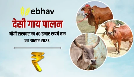 Yogi government's gift of up to 40 thousand rupees