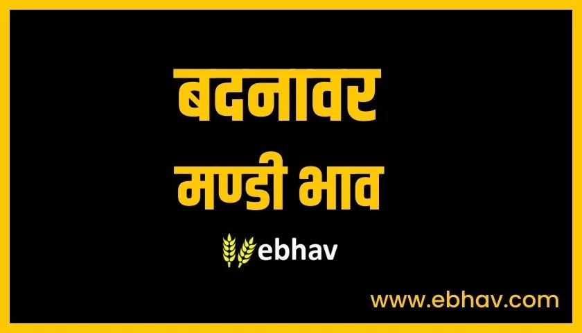 badnawar--mandi-bhav