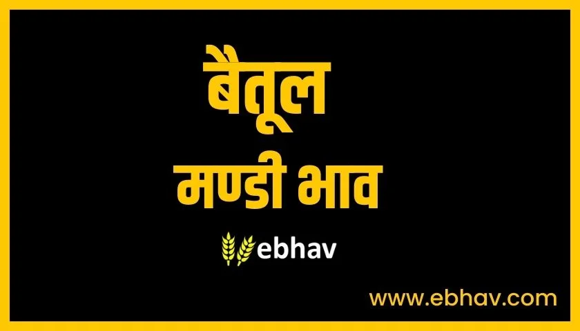 Betul Mandi Bhav Today | बैतूल मंडी भाव - Ebhav