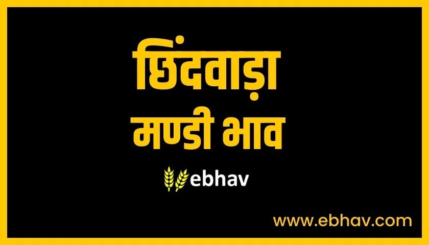 chhindwara-mandi-bhav