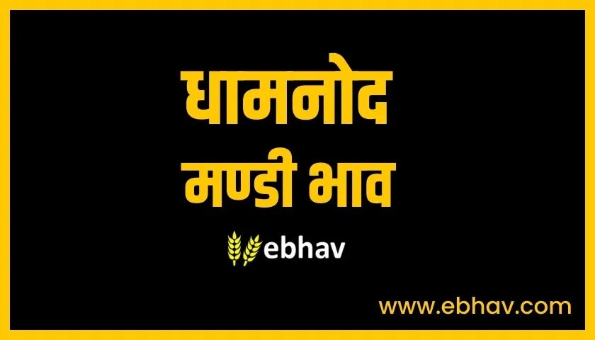 dhamnod-mandi-bhav