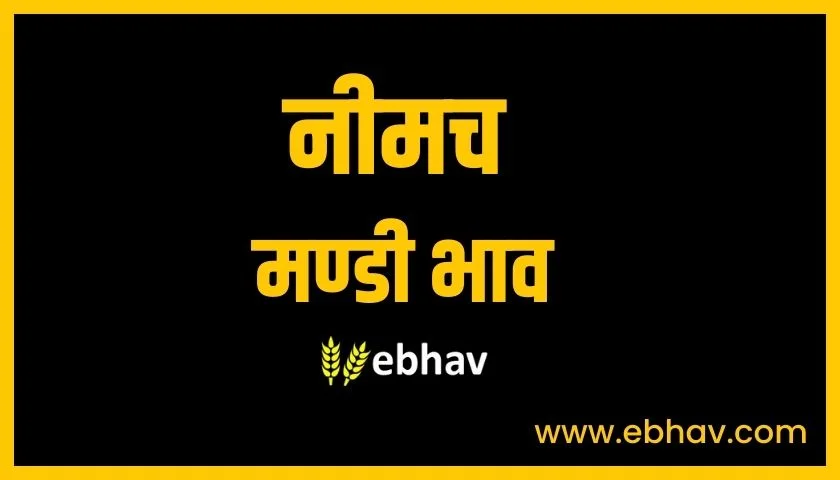 neemuch-mandi-bhav