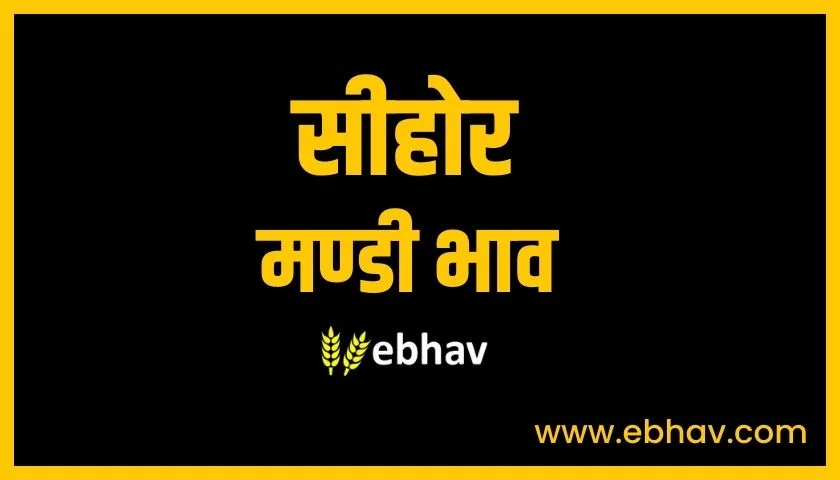 sehore-mandi-bhav