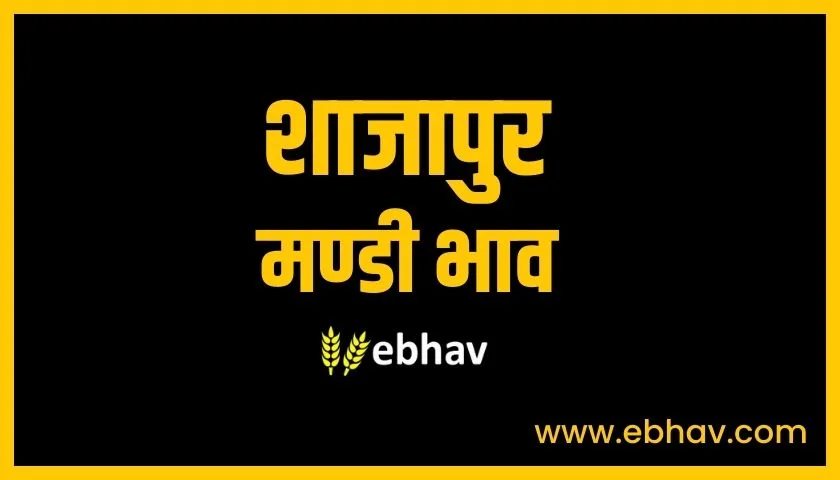 shajapur-mandi-bhav