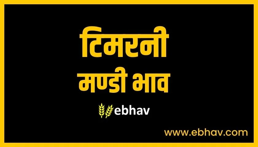 timarni-mandi-bhav