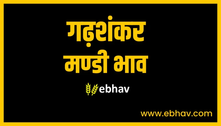 Garhshankar-mandi-bhav