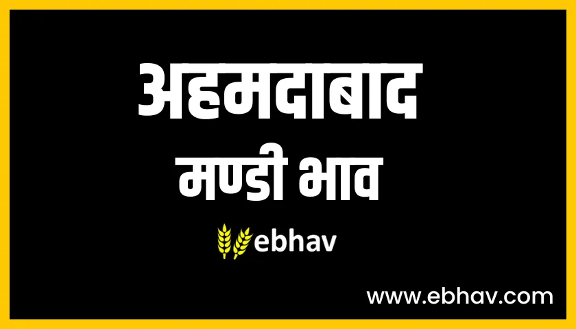 ahmedabad mandi bhav