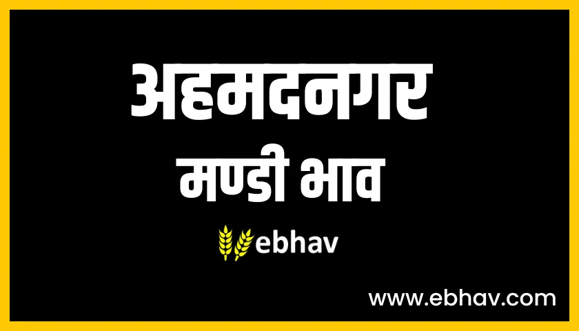 ahmednagar mandi bhav