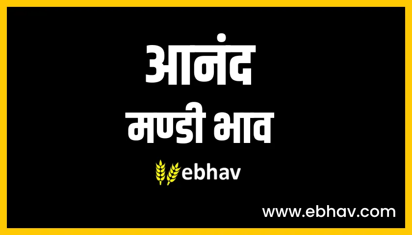 anand mandi bhav