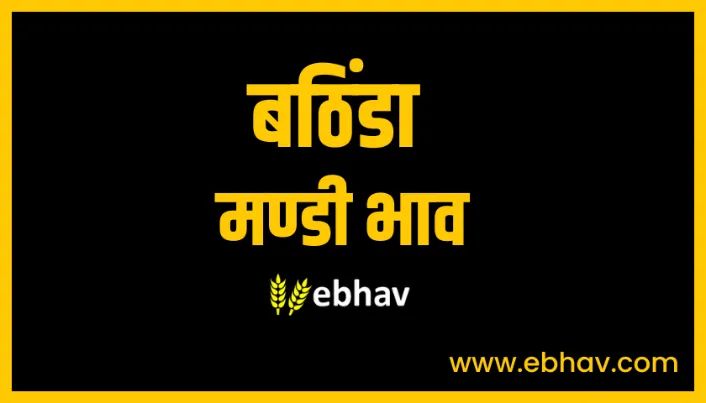 bathinda-mandi-bhav