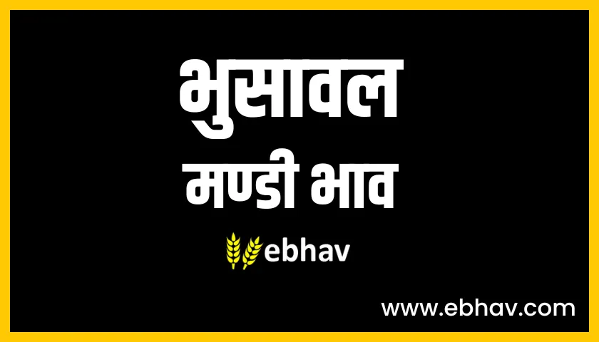bhusawal mandi bhav