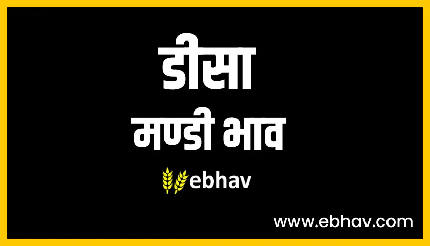 deesa mandi bhav