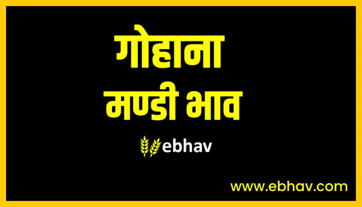 Gohana Mandi Bhav