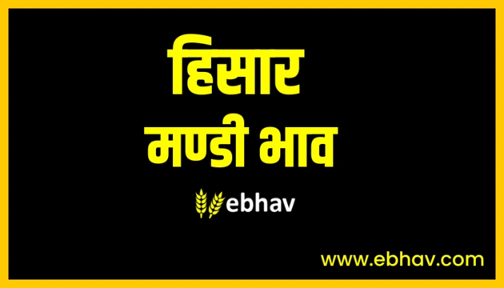 Hisar Mandi Bhav