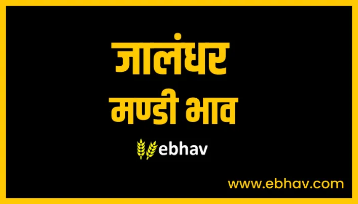 jalandhar-mandi-bhav