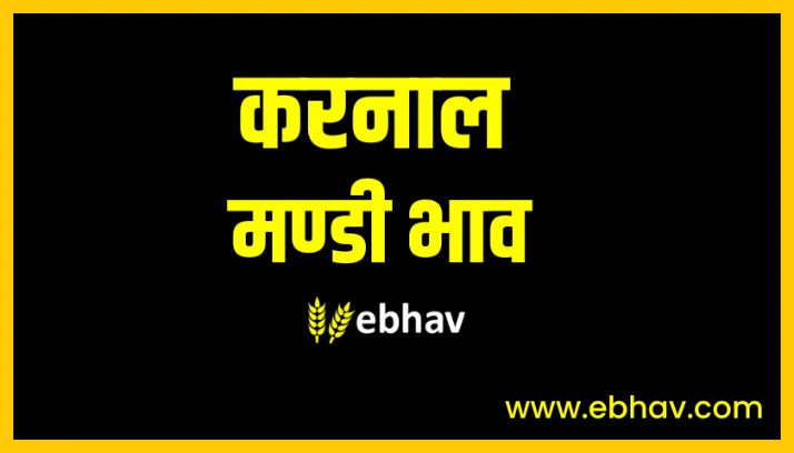Karnal Mandi Bhav