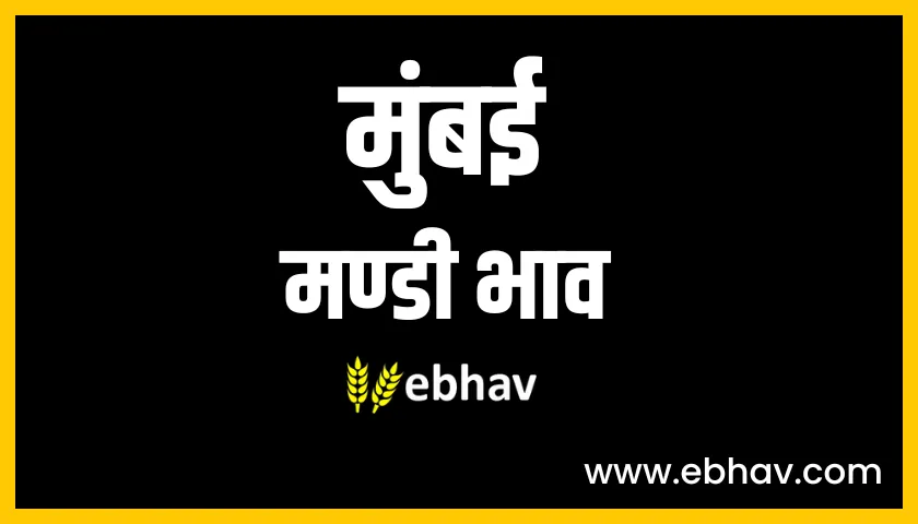 mumbai mandi bhav