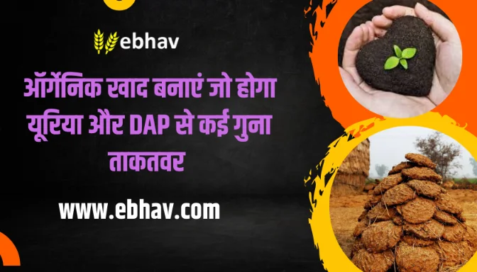 Organic Tarike Se Banaye Taakatwar Khad