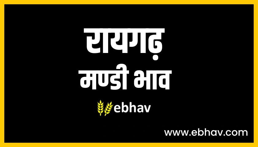 raigarh-mandi-bhav