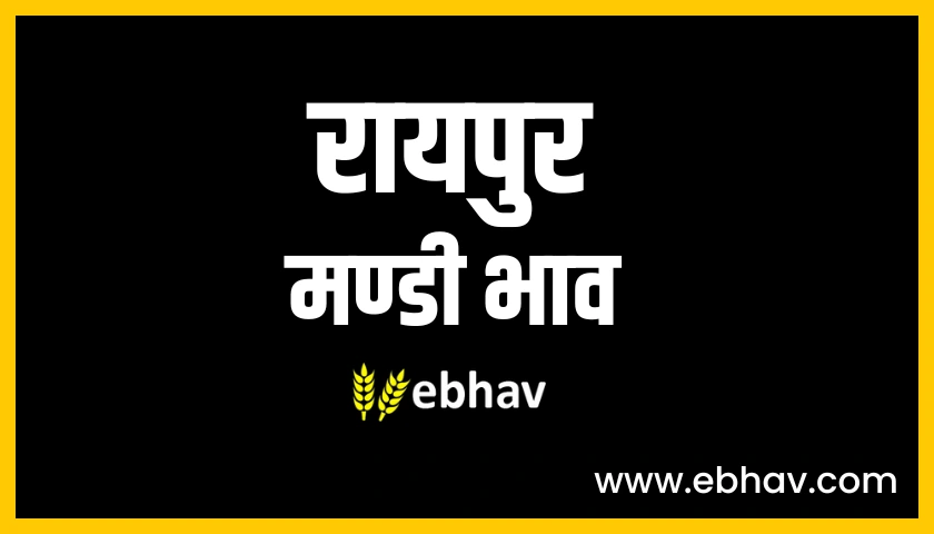 raipur-mandi-bhav