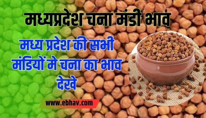 Madhya Pradesh Chana Mandi Bhav