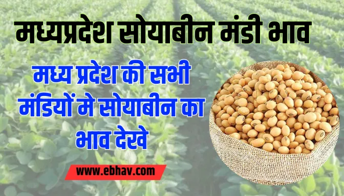 Madhya Pradesh Soyabean Mandi Bhav